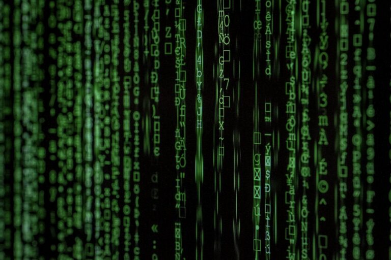 Prompt Injection Attacks: Real Examples & How to Stop Them — HackerXone
